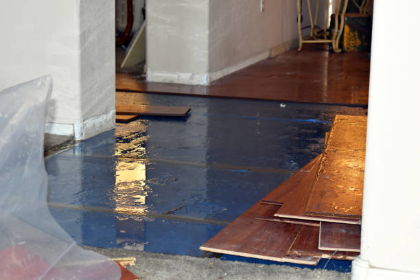 Professional Basement Flood Cleanup technician working in Bruno, WV